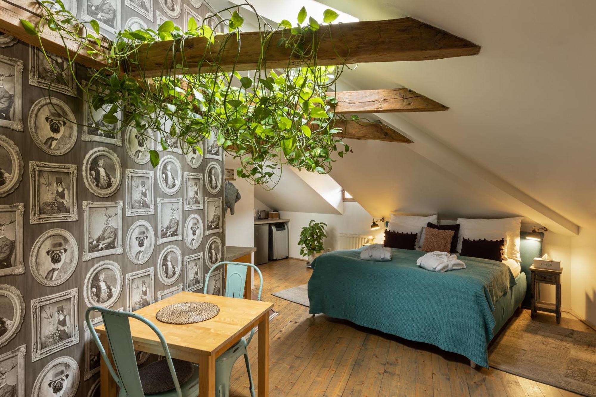 Apartmán Romantic Bohemian In Old Town